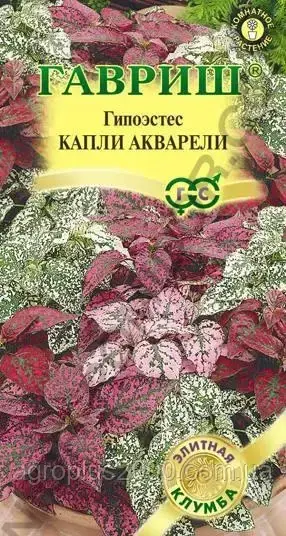 

Семена Гипоэстес Капли Акварели 5 семян Гавриш, Разные цвета