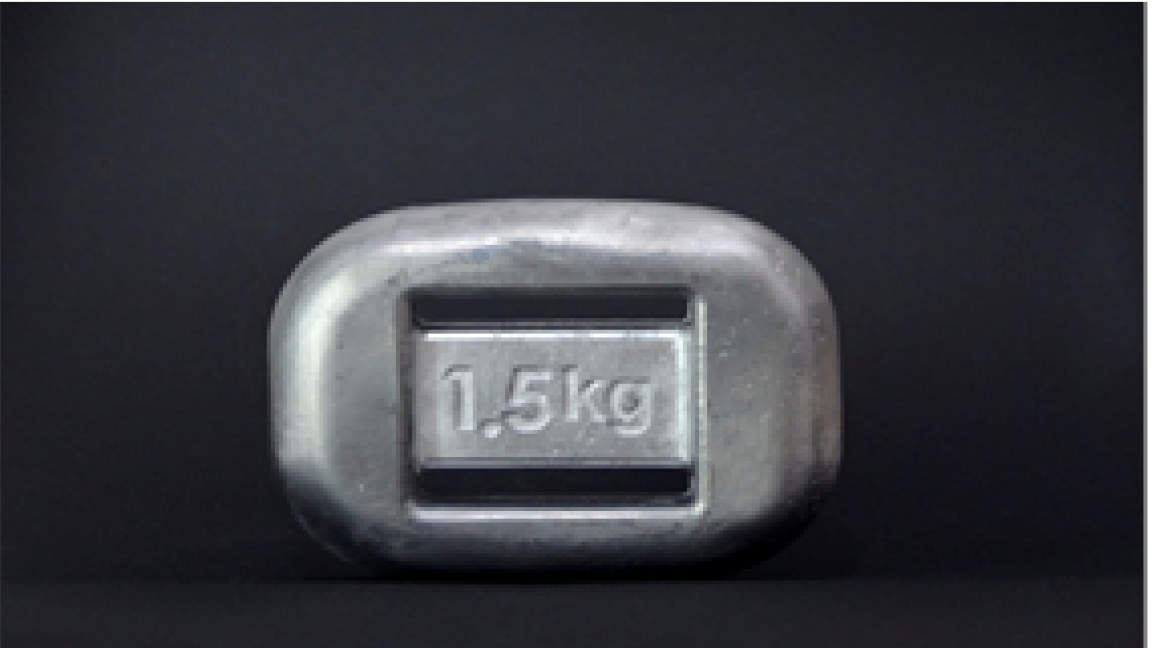 

Груз анатомический 1,5 кг