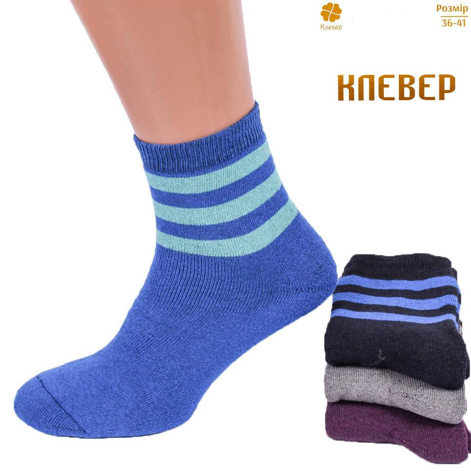 

Носки женские махровые Клевер BM51. Упаковка 12 пар. Размер 36-41