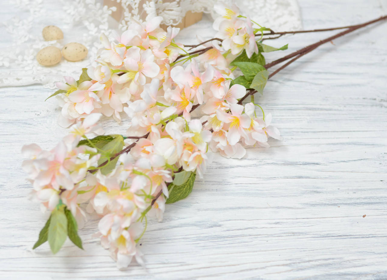 

Гілка яблуні ніжно-рожева