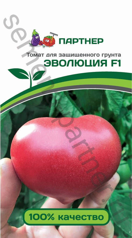 

Семена Томат индетерминантный Эволюция F1,10 семян Партнер