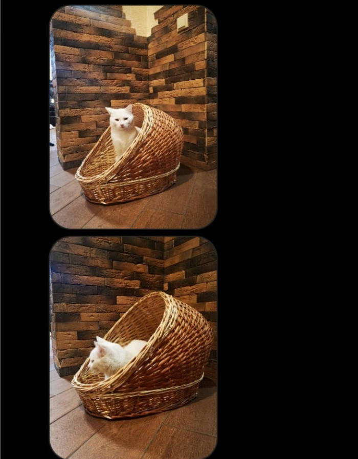 

Домик для животных из лозы