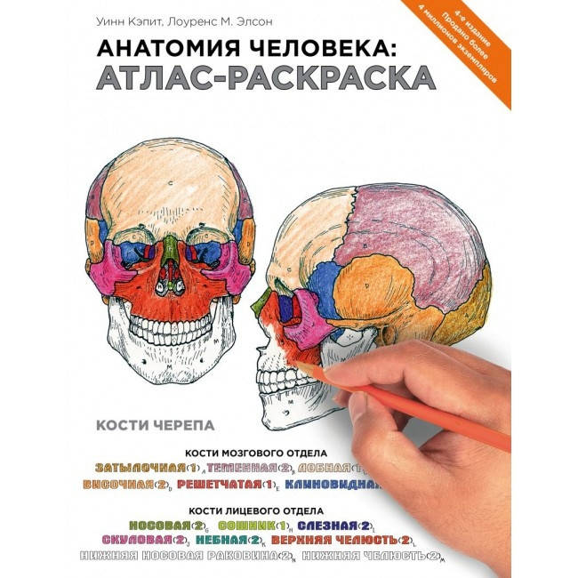 

Лоуренс М. Элсон, Уинн Кэпит Анатомия человека: атлас-раскраска 2021 год