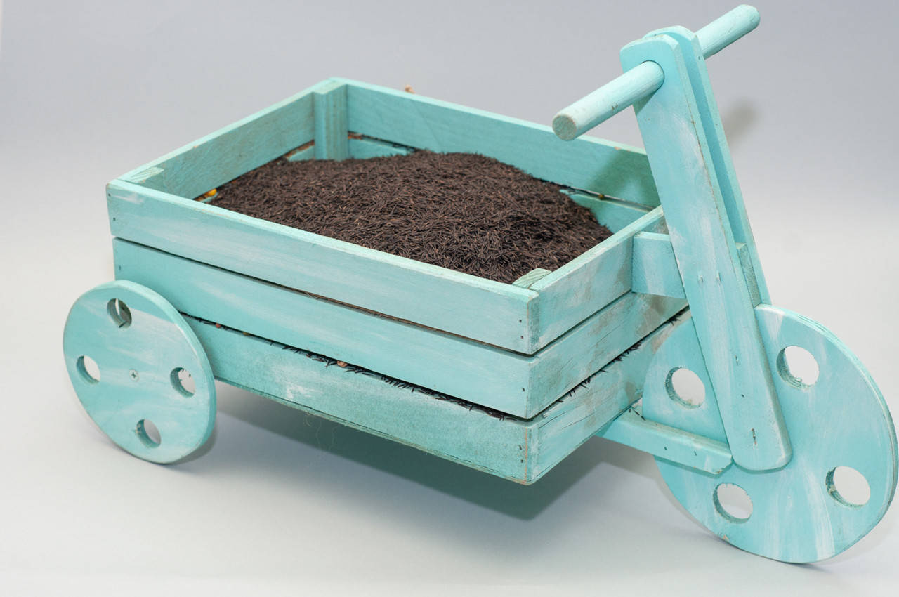 

Семена Кервель Ажурный (Японская морковка) микрогрин беби