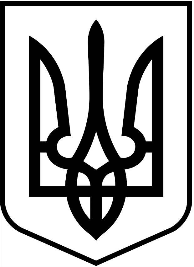 

Наклейка на авто 3D TUNING STUDIO Герб Тризуб України 355х490х0.070мм