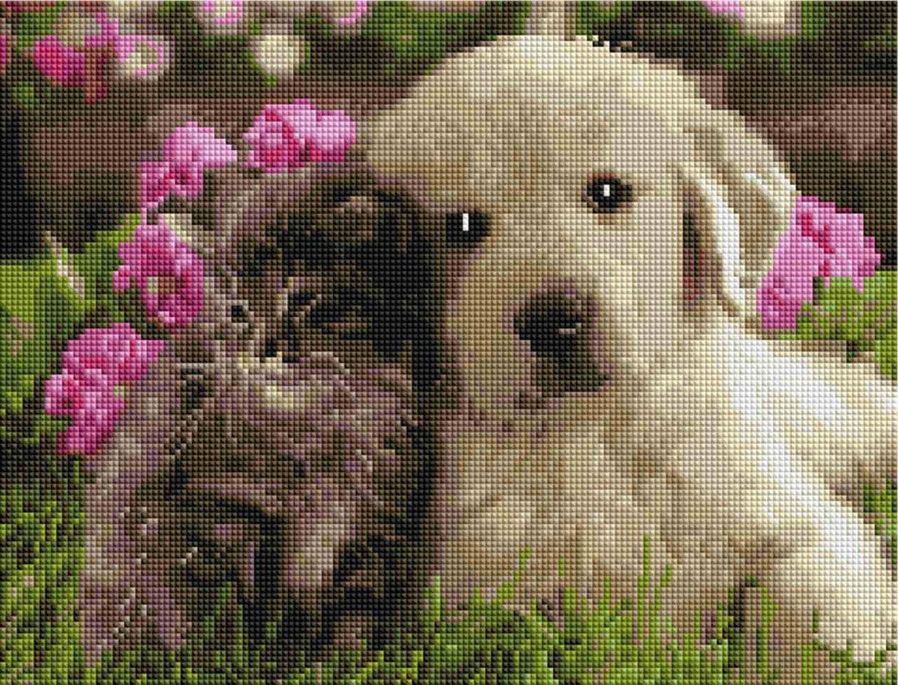 

Алмазная мозаика ColorArt 30х40 Котик и собачка ST451