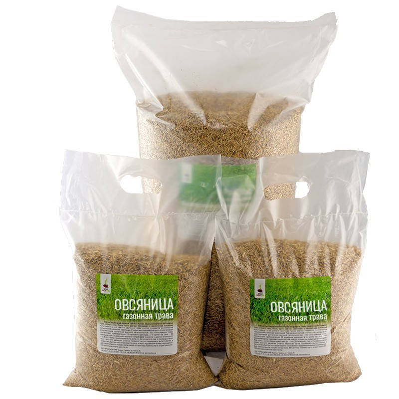

Овсяница луговая 1 килограмм