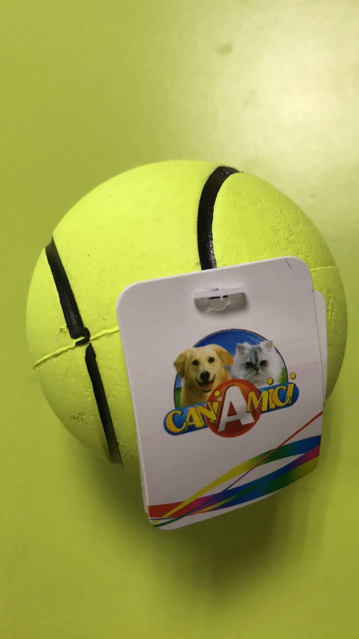 

Игрушка для собак Мяч неон светящийся CaniAMici C6003444
