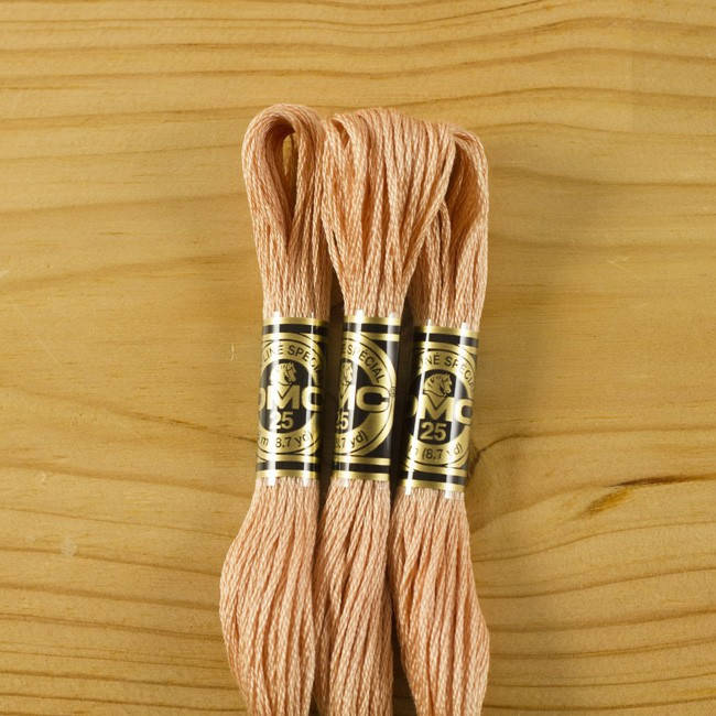 

Нитки мулине DMC 3771 (Франция)