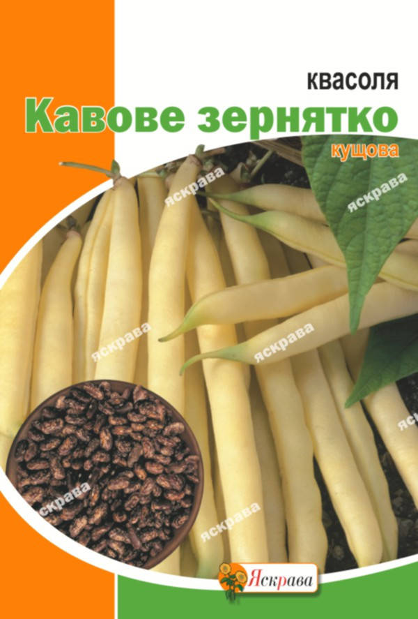 

Фасоль Кофейное зёрнышко 20 г (кустовая), семена Яскрава