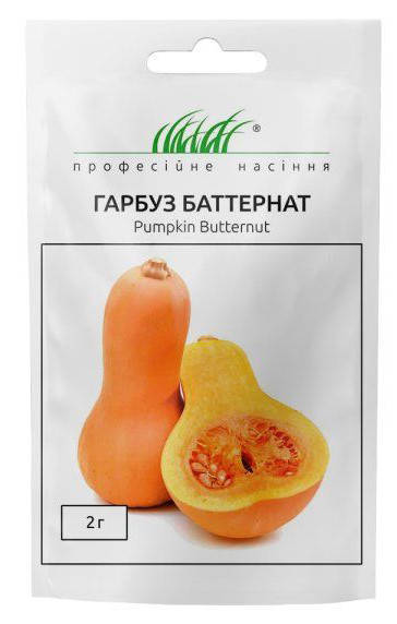 

Семена Тыквы сорт Баттернат 2 гр. 122575