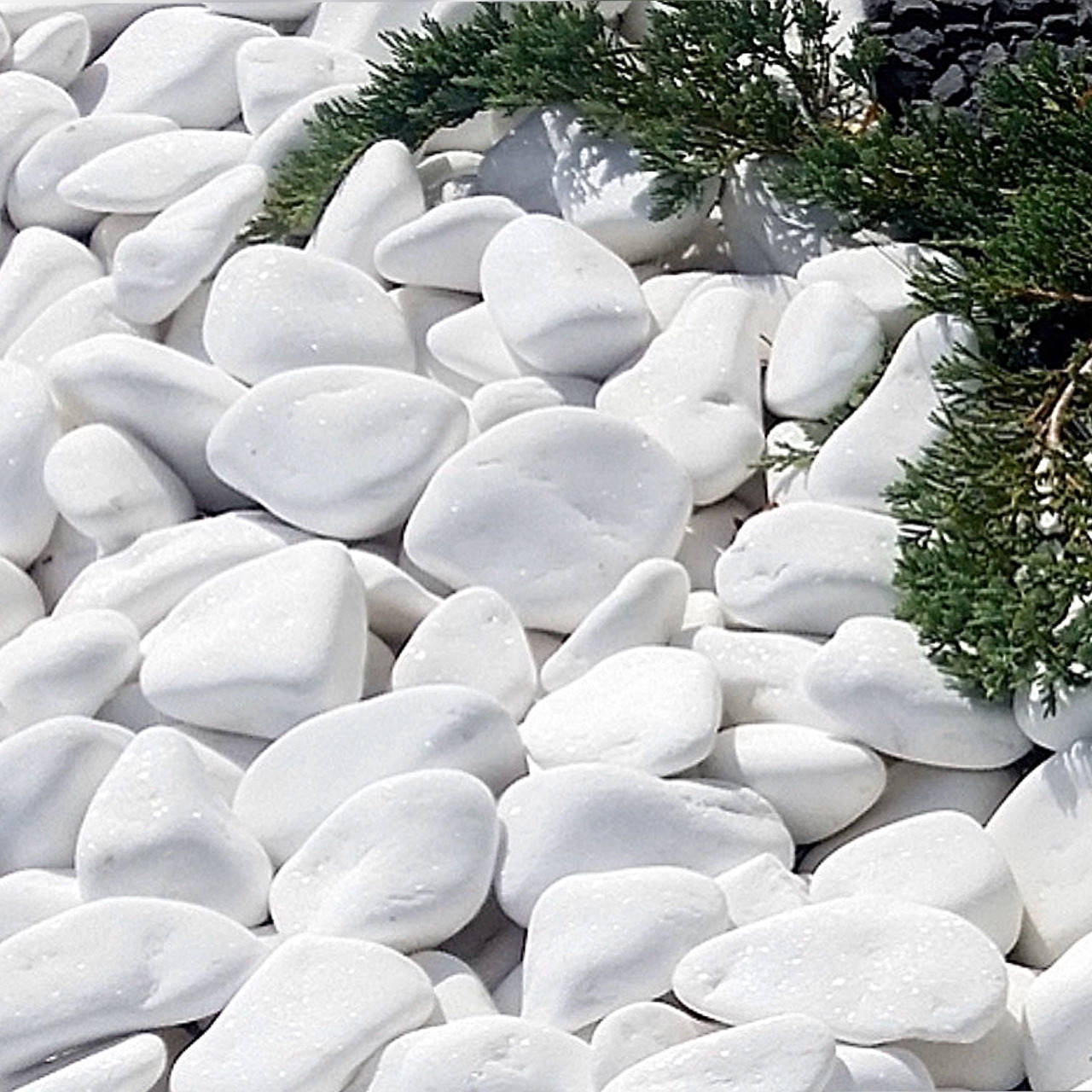 

Галька белая Тасос (25 кг)