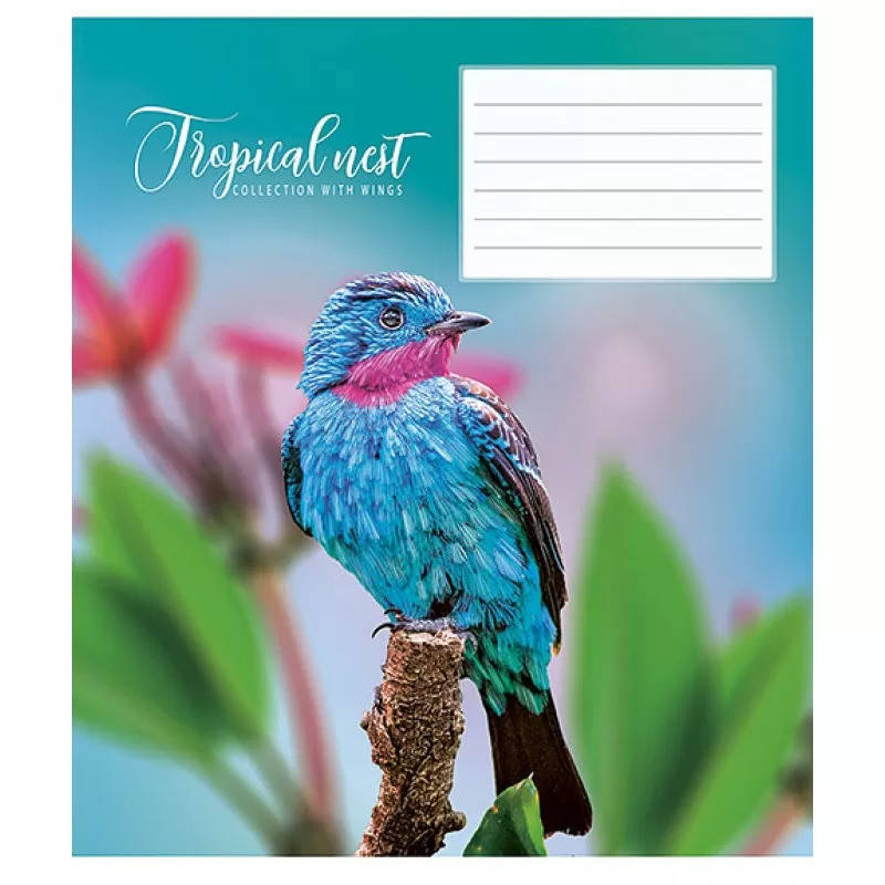 

Зошит шкільний в лінію 24 аркуша Школярик, Сollection with wings