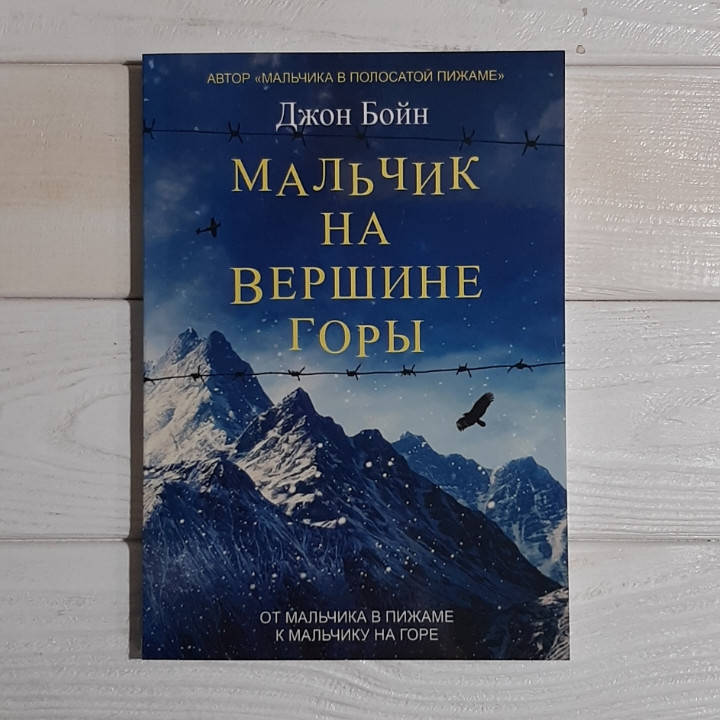 

МАЛЬЧИК НА ВЕРШИНЕ ГОРЫ - Джон Бойн