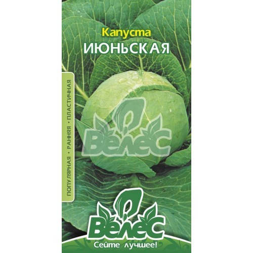 

Семена капусты Июньская 5г ТМ ВЕЛЕС