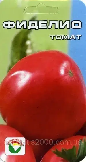 

Семена Томат полудетерминантный Фиделио 20 семян Сибирский Сад