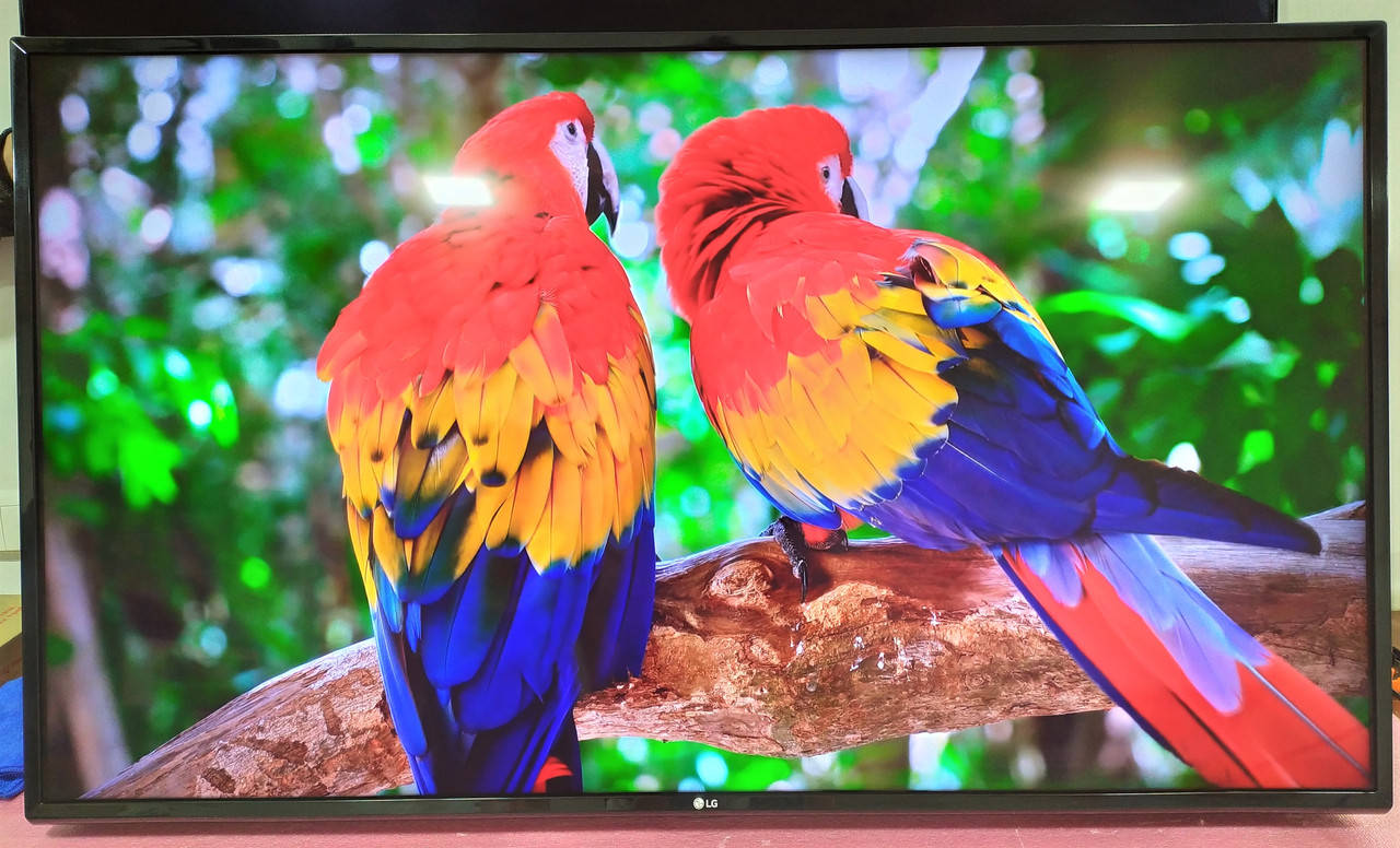 

Новый 4К телевизор LG49UN73006LA