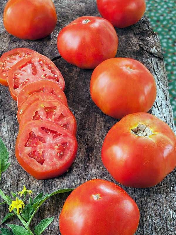 

Томат Рутгерс