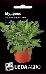 

Семена Шалфей лекарственный Мудрец 0,4г LEDAAGRO