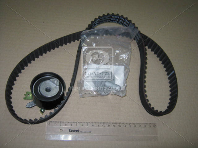 

Комплект ремень ГРМ + ролик Renault Kangoo 1.5 DCI до 06/2005 Gates (Бельгия) K015578XS