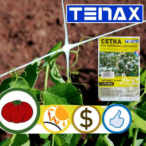 

Сетка Tenax Ортонова 1,7х10/17 м² (поддержка для роста растений), Белый
