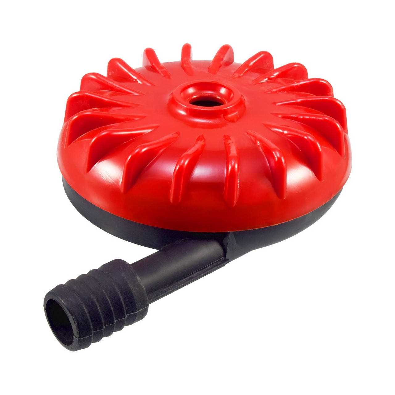 

Улитка диаметр 11 см (100)