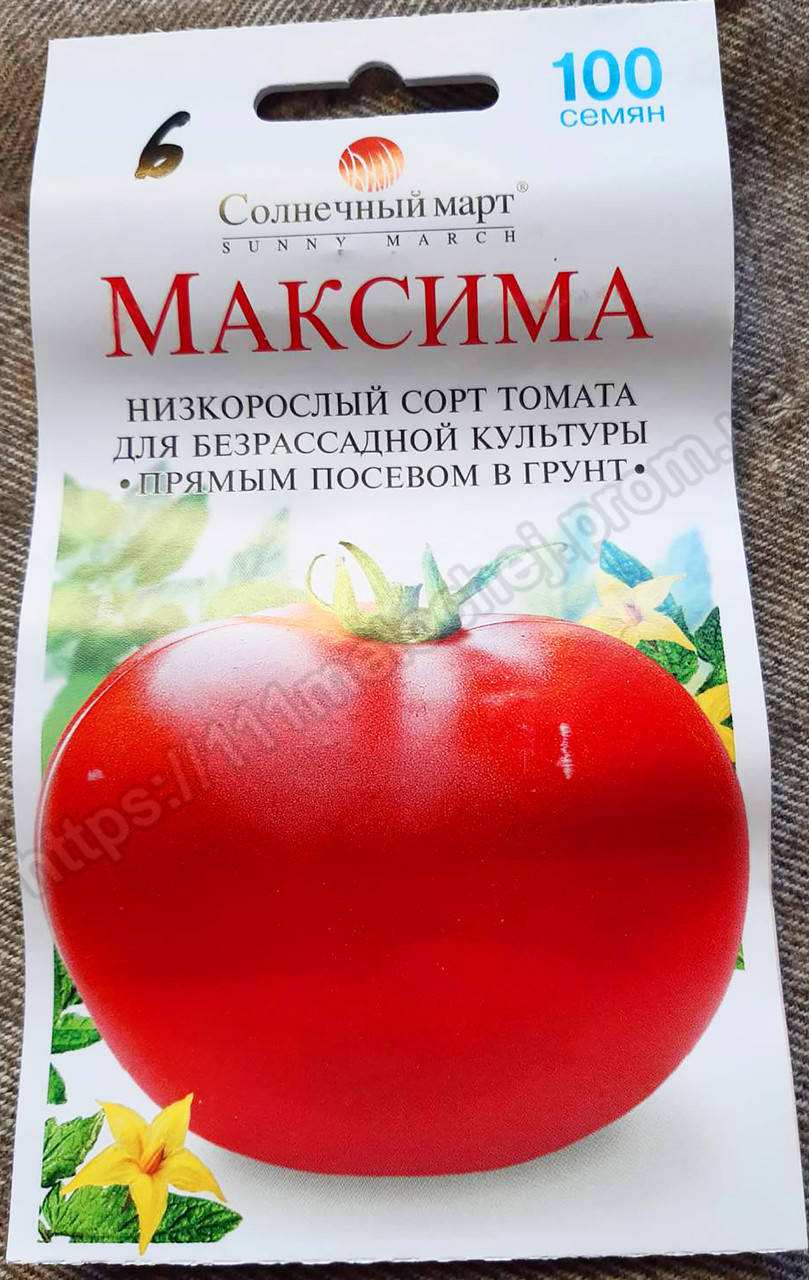 

Томат безрассадный Максима