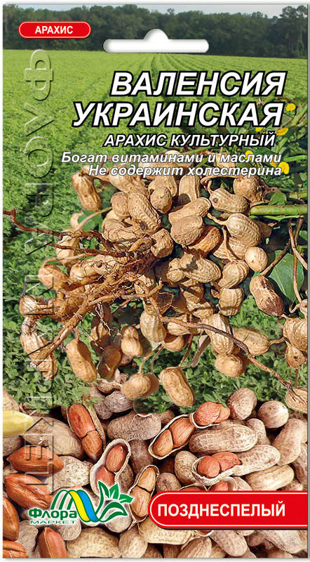

Семена арахис Валенсия украинская 10г. Флора маркет