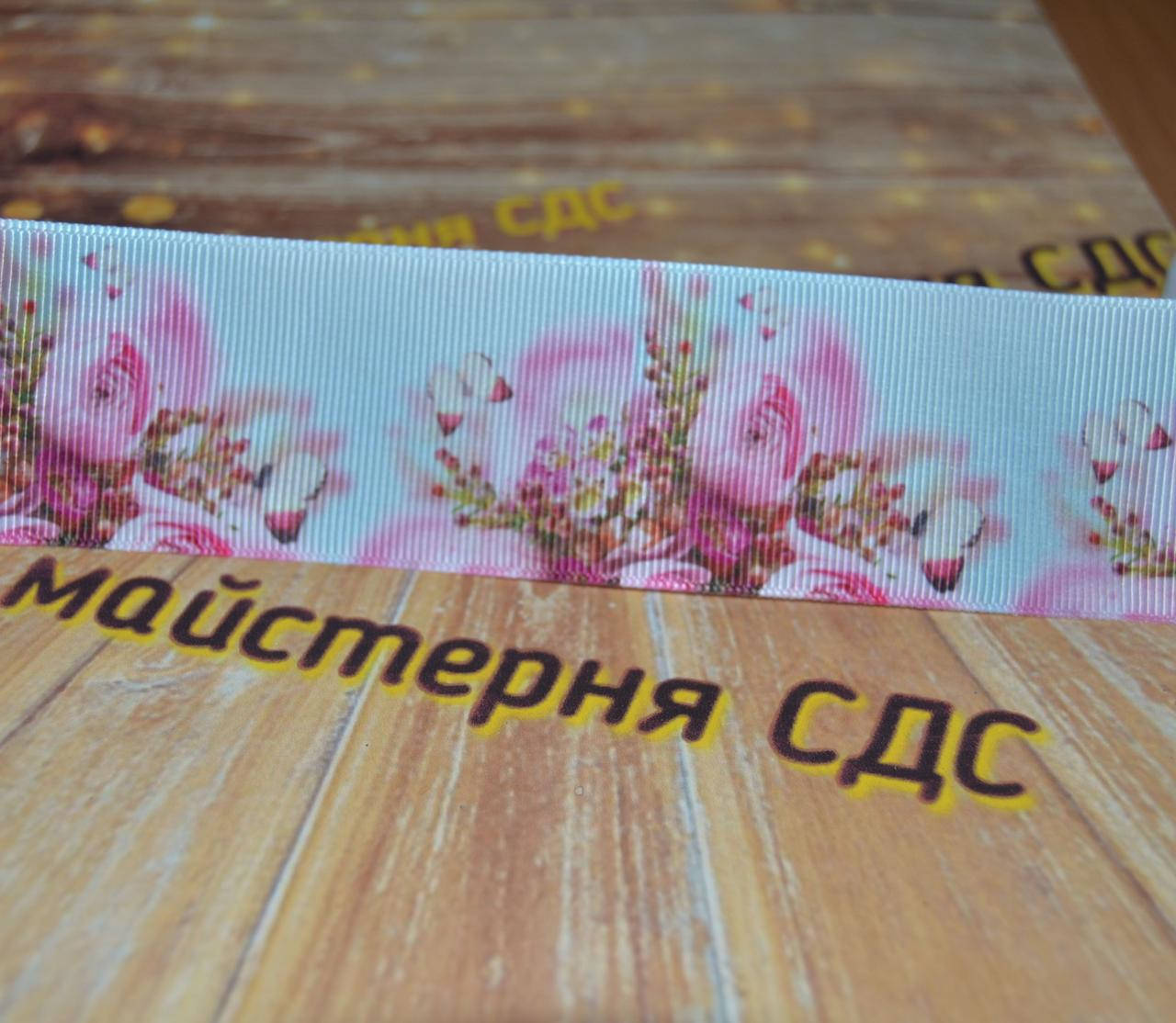 

Репс 4см ніжно рожеві троянди+молочні метелики на ніжно голубому