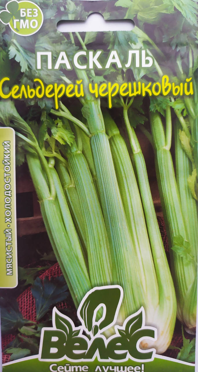 

Селера черешкова Паскаль