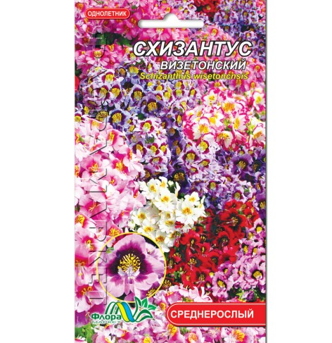 

Схизантус гибридная смесь цветы однолетние, семена 0.05 г