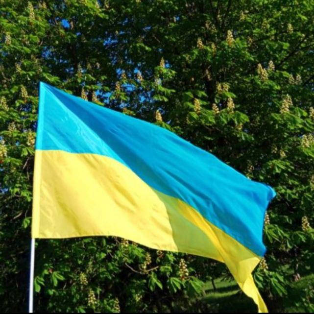 

Флаг Украины 120х67 см (флажная ткань)