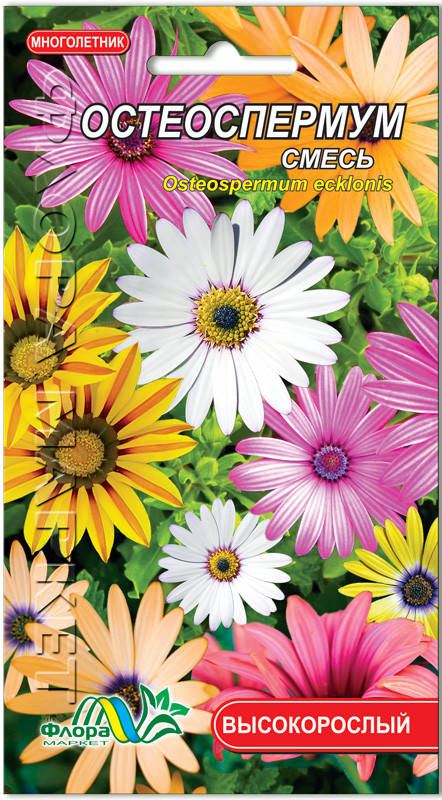 

Остеоспермум смесь