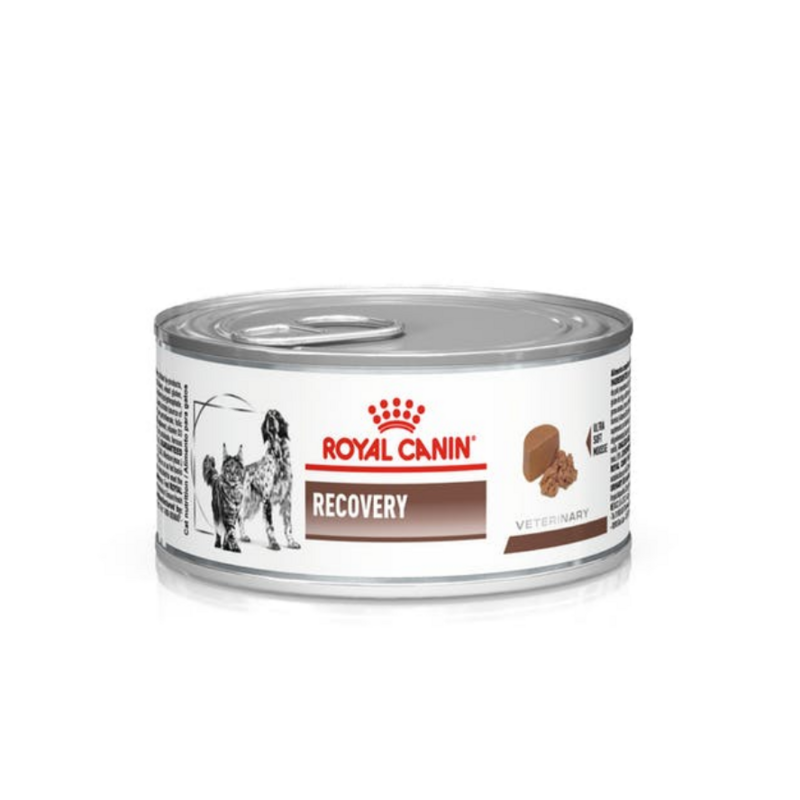 

Лечебный влажный корм для собак Royal Canin Recovery 195 г