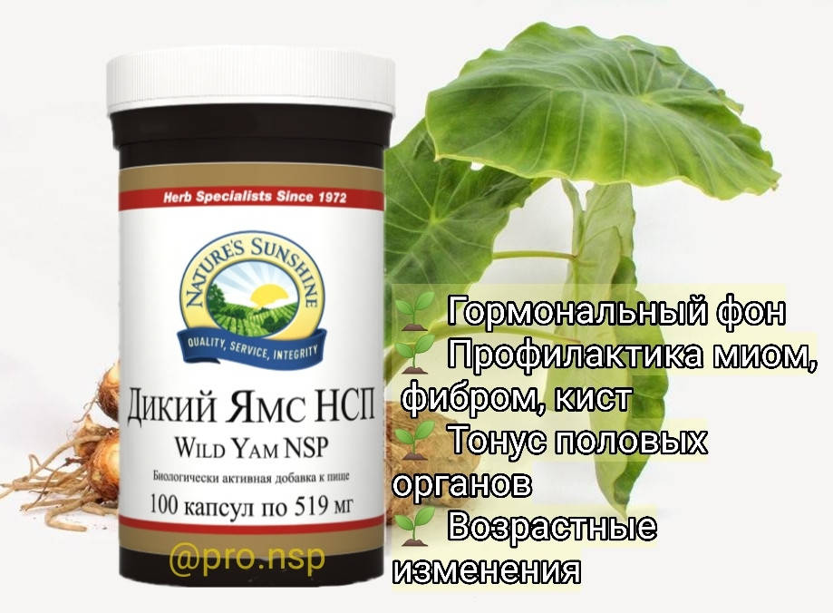 

Вайлд Ямс ( Wild Yam ) Женская молодость, Дикий Ямс , гормональный фон