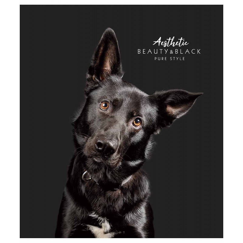 

Зошит 96арк # Школярик Star 096-2963K, Школярик