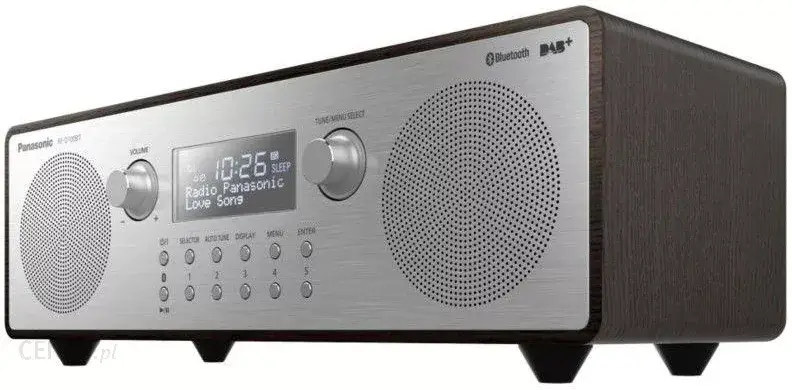 

Panasonic RF-D100BT srebrno-brązowy