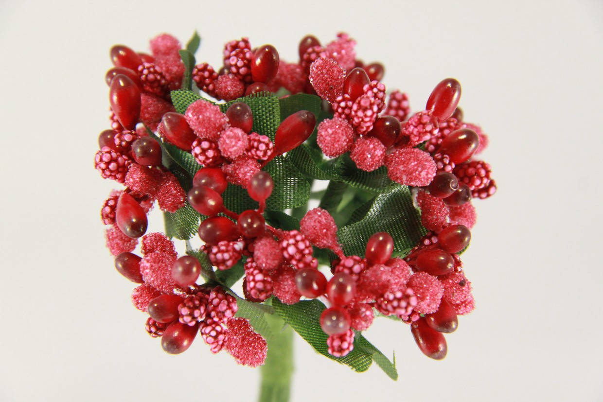 

Тычинка красная 2016-1-11-1, Красный