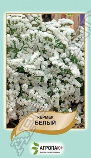 

Семена Кермек (лимониум,статице) Белый 0,2 грамма Legutko Агропак