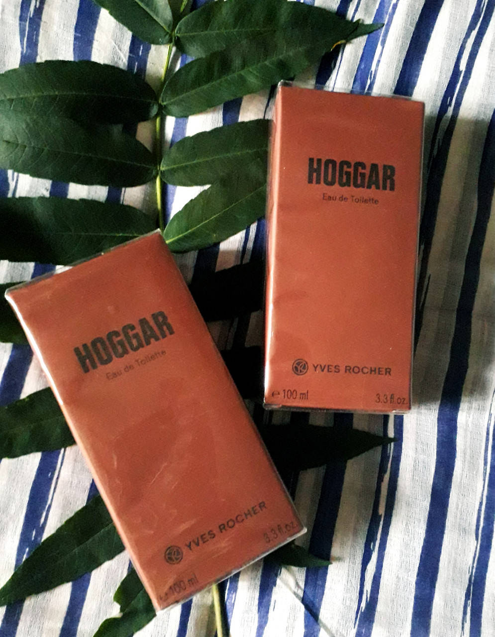 

Туалетная Вода для Мужчин Hoggar, 100 мл Ив Роше