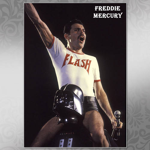 

Плакат Freddie Mercury 044