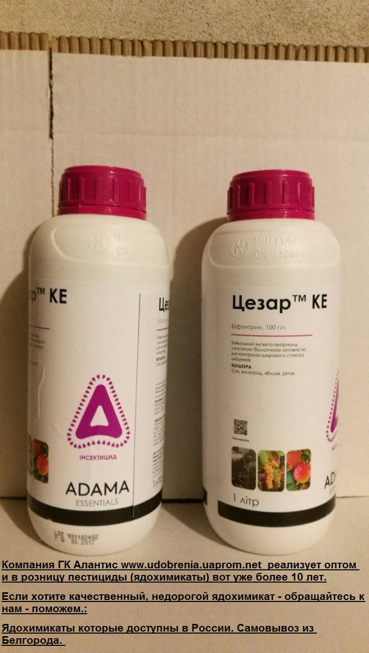 

Инсектицид Цезар, Цезарь (Бифентрин) против клещей.Против огневки на самшитах (20 гр на 10 л воды)