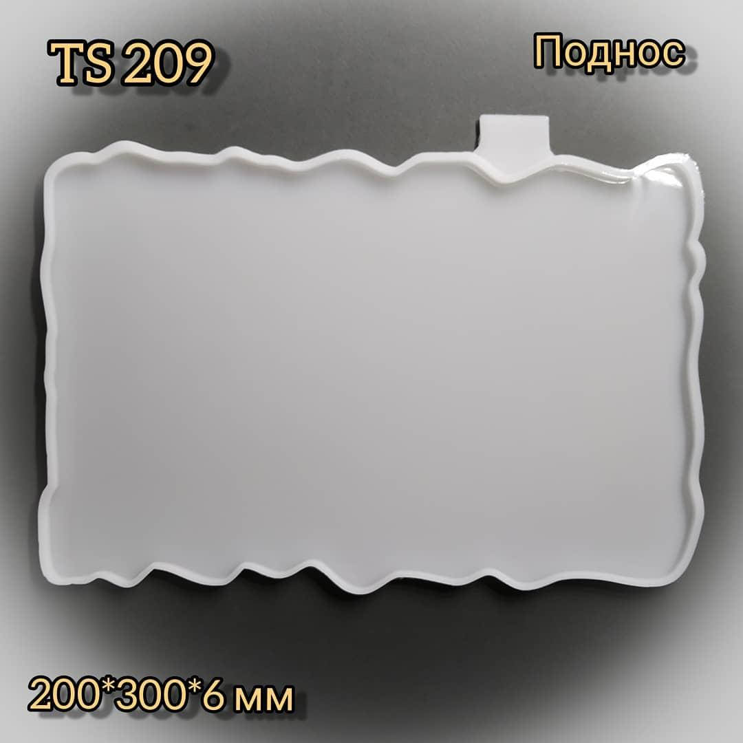 

Молд TS 209 " Поднос "