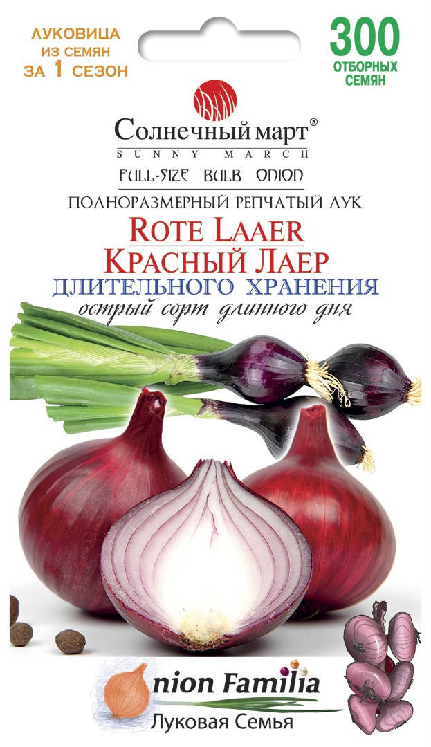 

Лук Красный Лаер, 300шт.