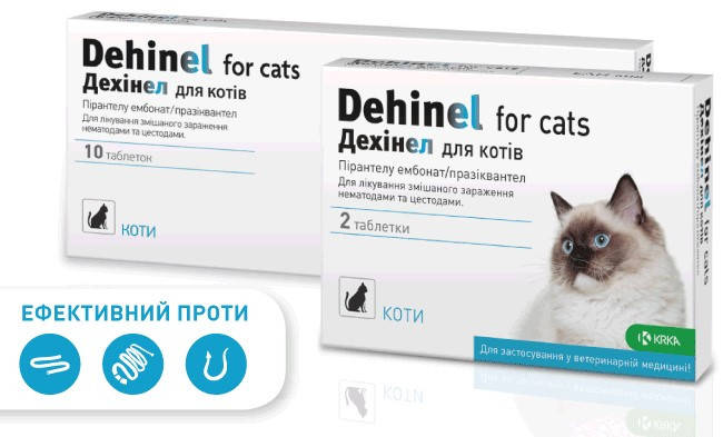 

KRKA Dehinel Дехинел 10 таблеток антигельминтик для кошек с ароматом мяса