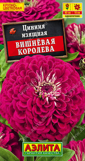 

Семена Цинния Крупноцветковая Вишневая Королева 0,3 грамма Аэлита