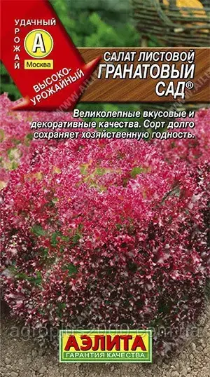 

Семена Салат листовой Гранатовый Сад 0,5 грамма Аэлита