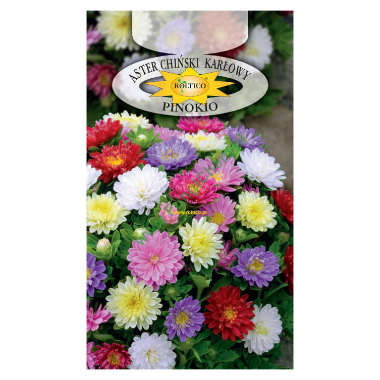 

Польские семена астры Пиноккио 0,5г