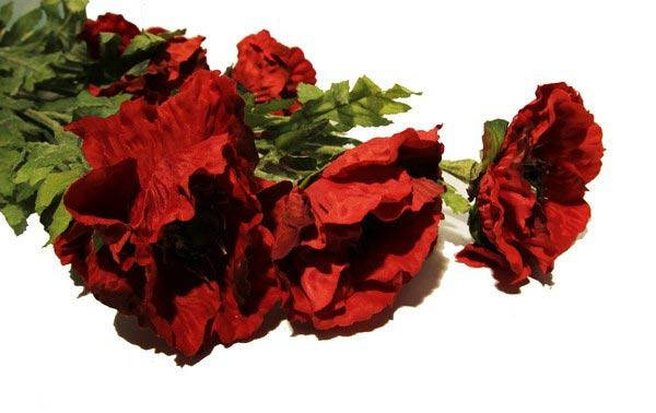 

Цветок "Мак", Разные цвета