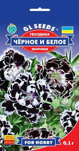 

Гвоздика Черное и Белое выразительные махровые цветки редкой чёрной окраски с белой каймой, упаковка 0,1 г